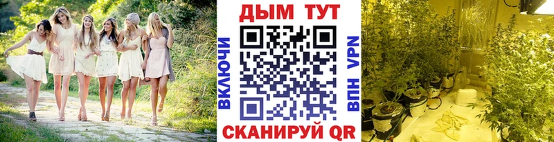 Купить закладку COCAIN  МЕФ  Alpha-PVP  Конопля  Гашиш  Иннополис
