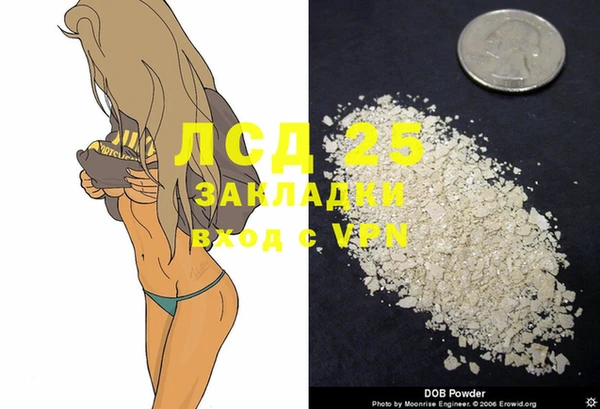мяу мяу мука Инсар