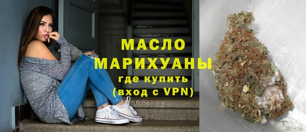 шишки Каменка