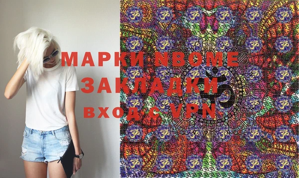 mix Инта